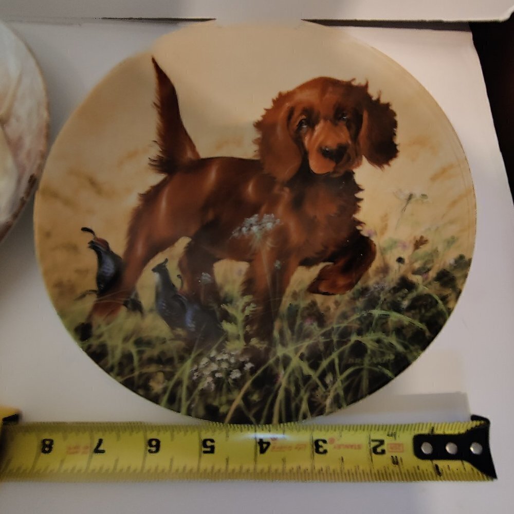 Irish Setter Puppy Plate Vintage from United Kennel Club 1988 Signed & Marked EC